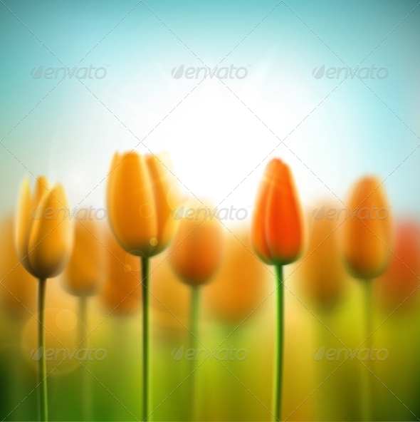 Spring Background with Tulips Spring Background with Tulips