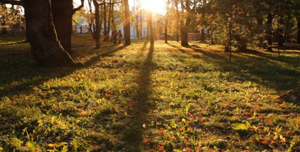Sunset in a Park in Autumn 02 Sunset in a Park in Autumn 02
