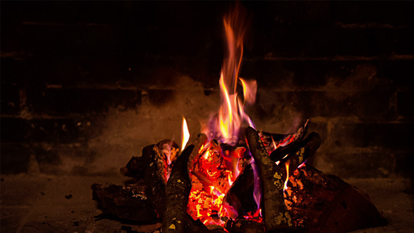 The Firewood Burning in the Fireplace The Firewood Burning in the Fireplace