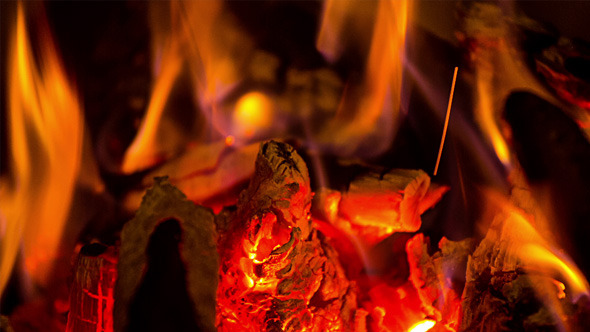 The Firewood Burning in the Fireplace 3 The Firewood Burning in the Fireplace 3