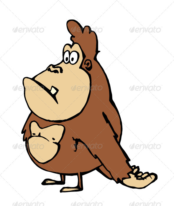 Gorilla Gorilla