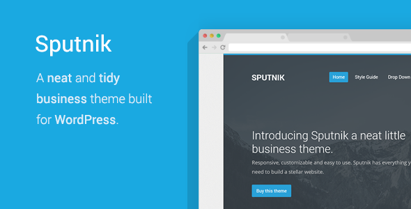 Sputnik - A Tidy Business WordPress Theme