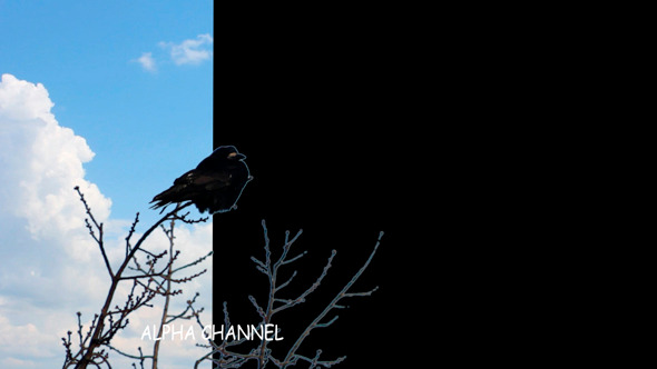 Raven 2 Raven 2