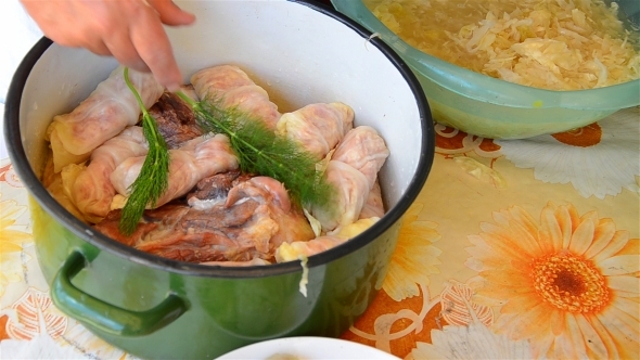 Woman s Hands Preparing Stuffed Cabbage 02 Woman s Hands Preparing Stuffed Cabbage 02