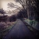 HollowOakAudio