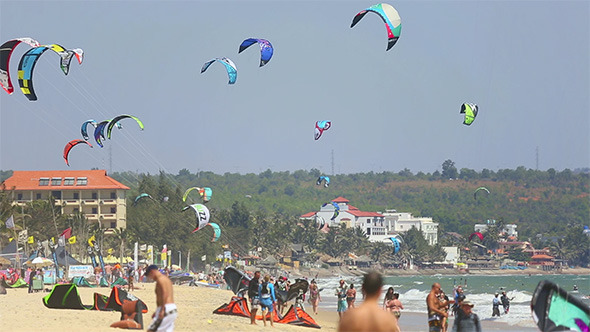Kites Kites