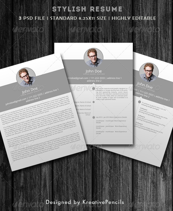 Stylish Resume Stylish Resume