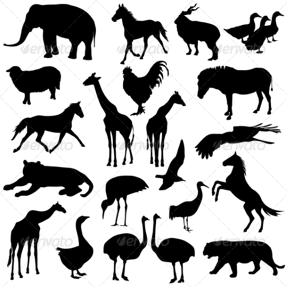 Silhouettes Silhouettes