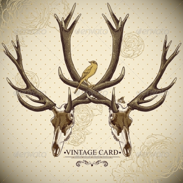 Deer Skull Background Deer Skull Background