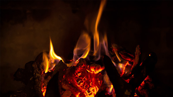 The Firewood Burning in the Fireplace 02 The Firewood Burning in the Fireplace 02