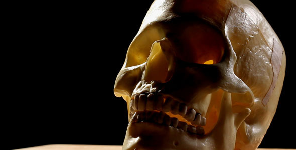 Skull 2 Skull 2