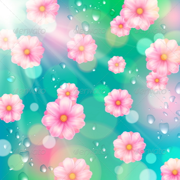 Pink Spring Flowers and Water Drops Pink Spring Flowers and Water Drops