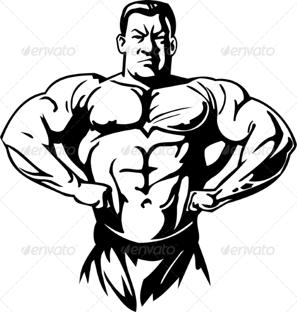 Bodybuilding and Powerlifting Bodybuilding and Powerlifting