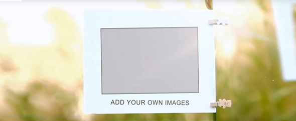 photolive