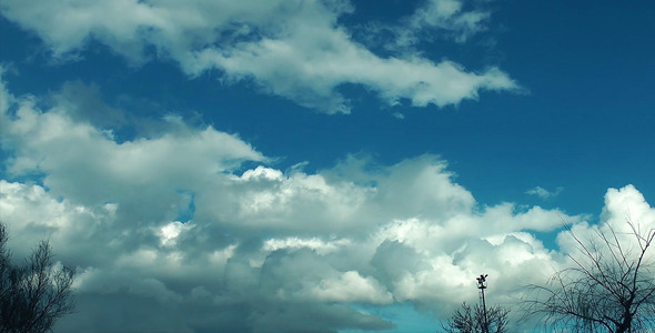 Soft Clouds and Plant Soft Clouds and Plant