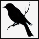 BlackbirdV