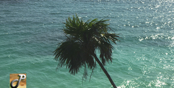 Tulum Beach 05 Tulum Beach 05