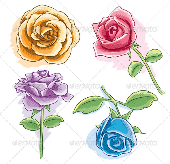 Watercolor Rose Watercolor Rose
