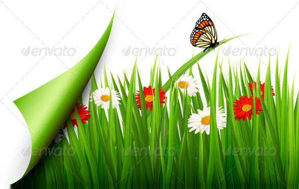 Spring background with flowers, grass and a butterfly.