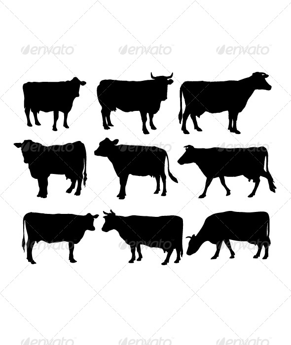 Cow Silhouettes Cow Silhouettes