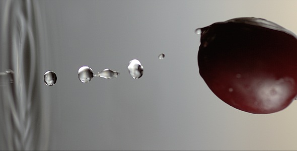 VideoHive Cranberry is Falling on a Wet Surface 9846994 VideoHive Cranberry is Falling on a Wet Surface 9846994
