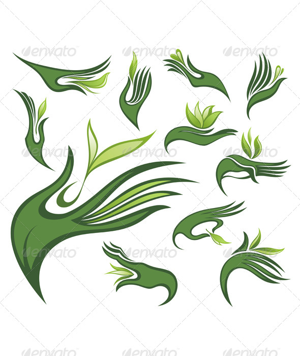 Hands with Green Leaf Hands with Green Leaf