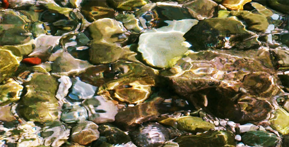 Stones in the Sea Stones in the Sea