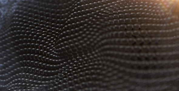 Black Balls Surface Waving Black Balls Surface Waving