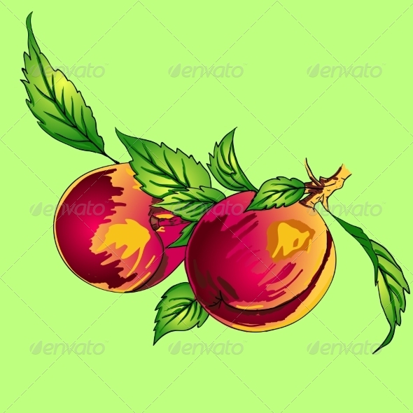 Peaches Peaches