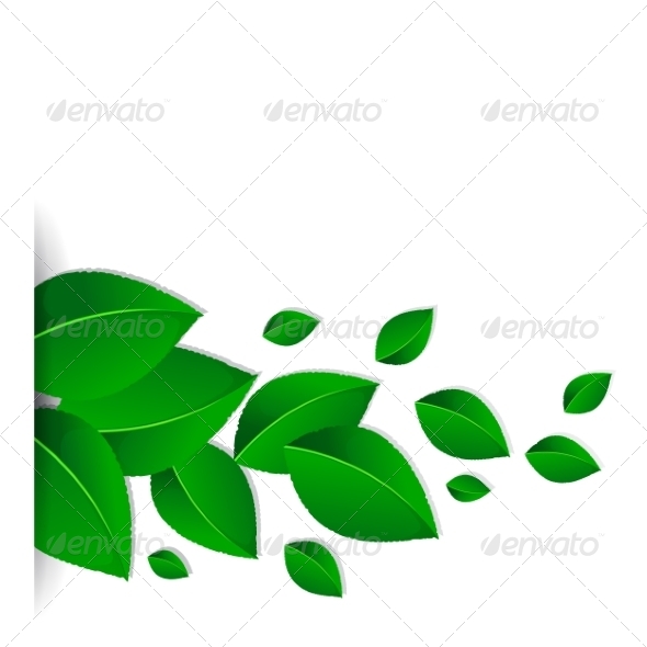 Background with Green Leaves Background with Green Leaves