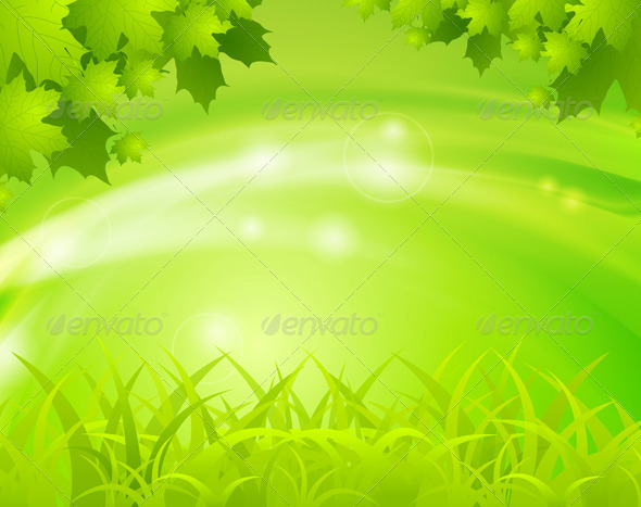 Spring Background Spring Background