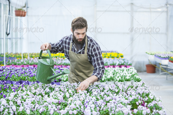Gardener in market garden