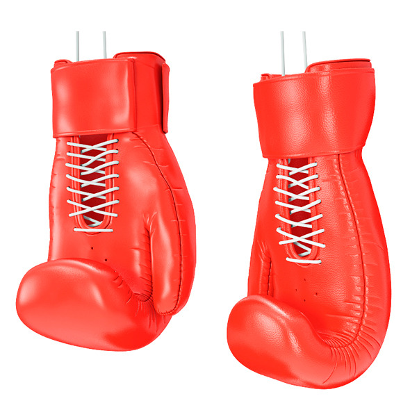 Boxing Glove Boxing Glove