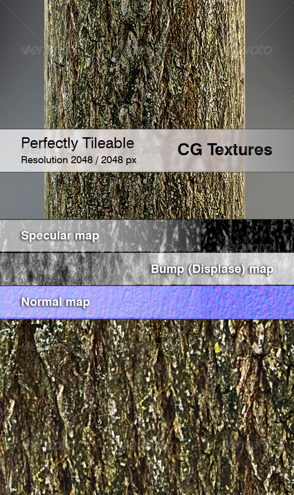 Realistic Willow Bark Textures - 3DOcean Item for Sale