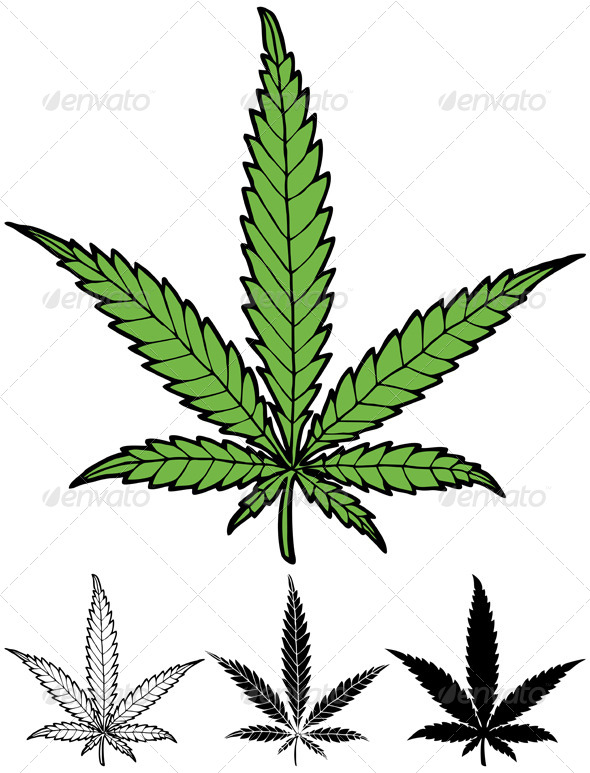 Hemp Leaf Hemp Leaf