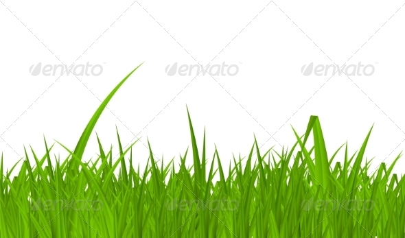 'Graphicriver