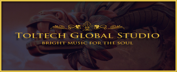 ToltechGlobalStudio
