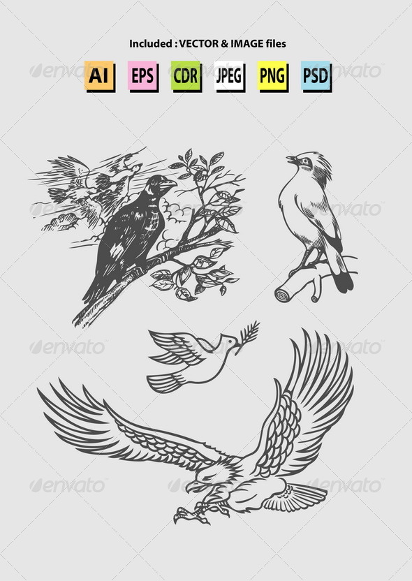 'Graphicriver