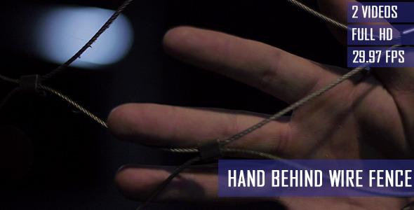 Hand Touching The Wire Fence Hand Touching The Wire Fence