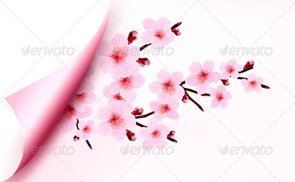Spring background of a blossoming tree branch with spring flowers