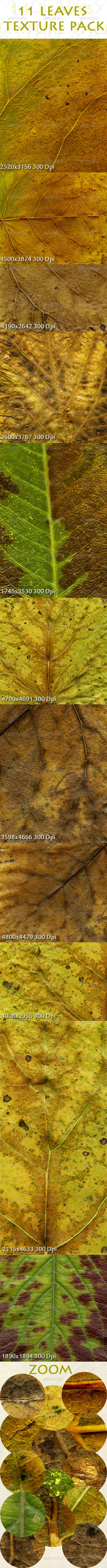 11 Leaves Texture Pack 11 Leaves Texture Pack