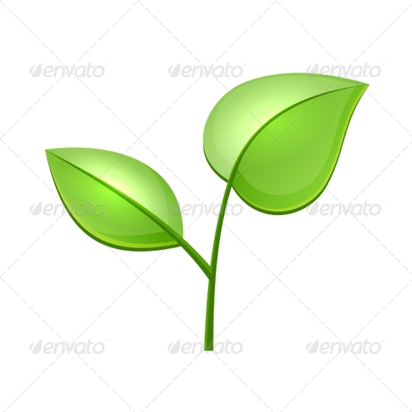 Ecology Concept Icon with Glossy Green Leaves Ecology Concept Icon with Glossy Green Leaves