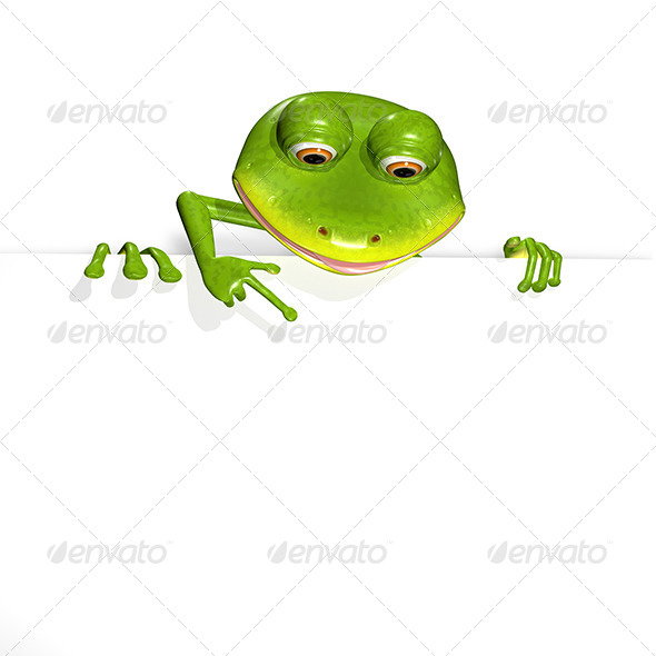 Frog and white background Frog and white background