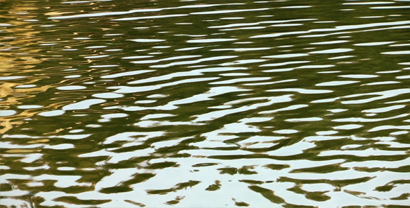 Lake 1 Lake 1