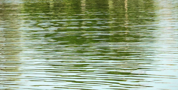 Lake 2 Lake 2