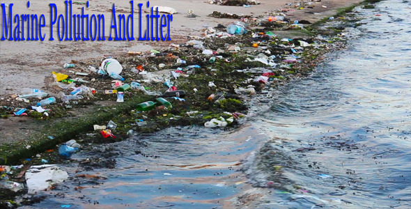 Marine Pollution And Litter Marine Pollution And Litter