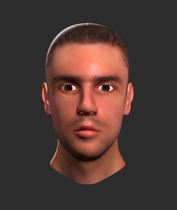 Human Male Head Human Male Head