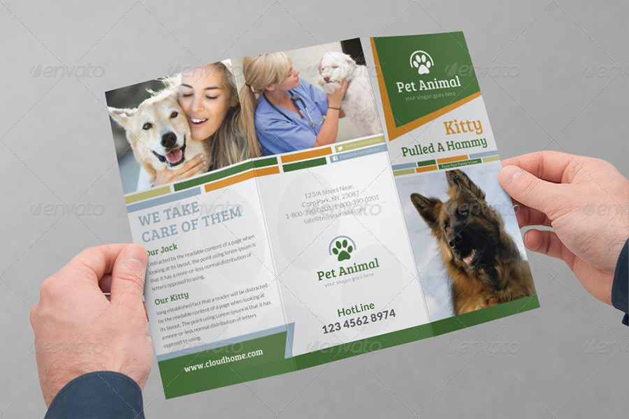 pet tri fold brochure by dotnpix graphicriver simple broucher