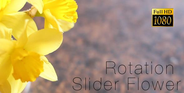 Flower Flower