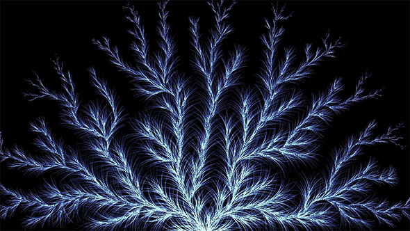 Growing Frost Growing Frost